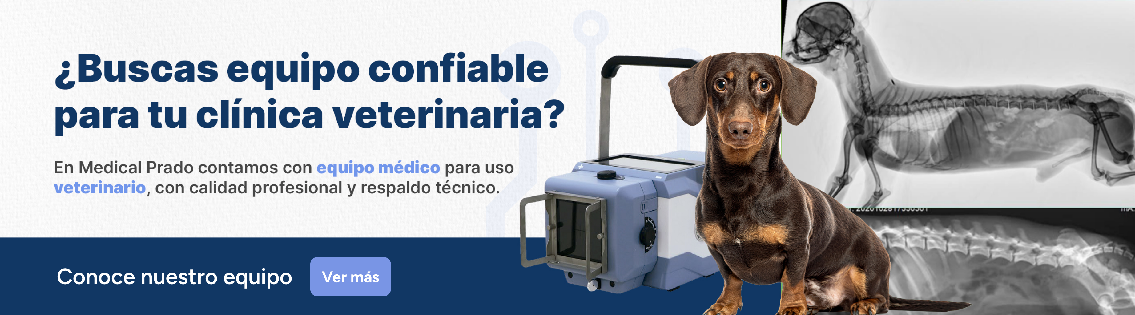 Equipo veterinario