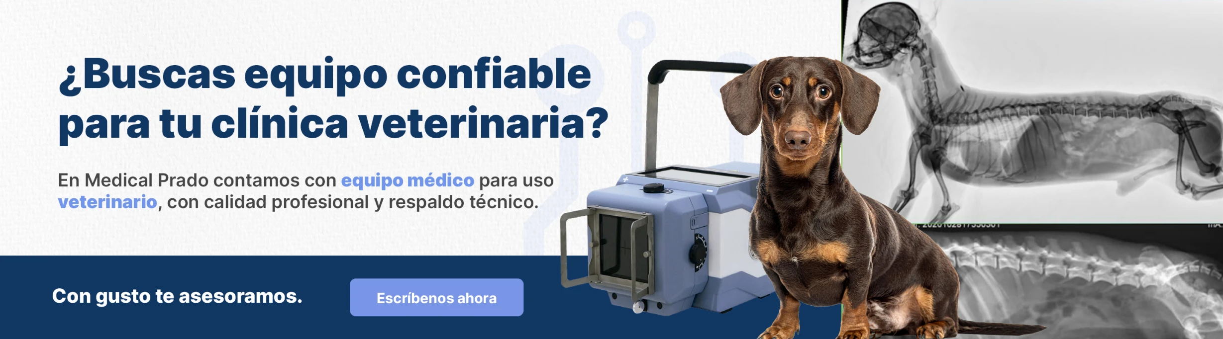 Equipo veterinario