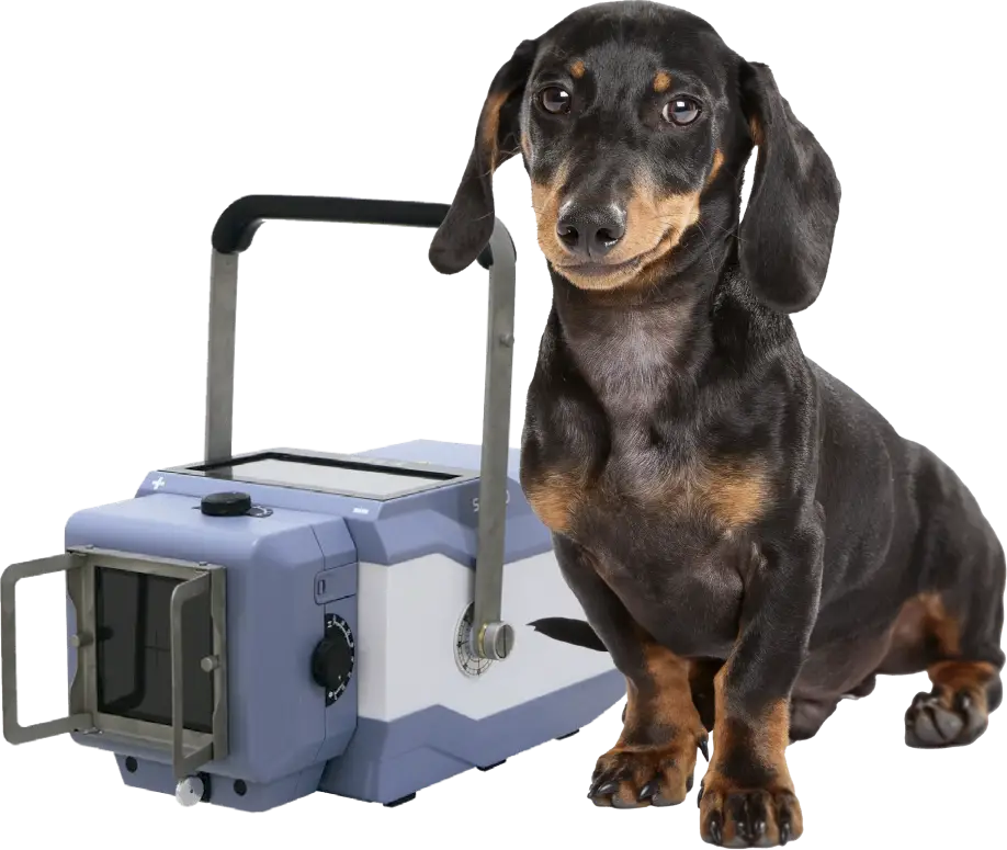 Equipo para veterinaria